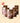 Plant Protein Powder - Mocha (30g - Pack of 5)